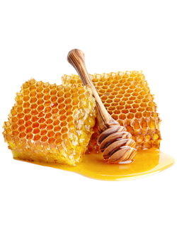 Selyemfű méz